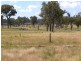 1015 Bundarra Road, Barraba NSW 2347