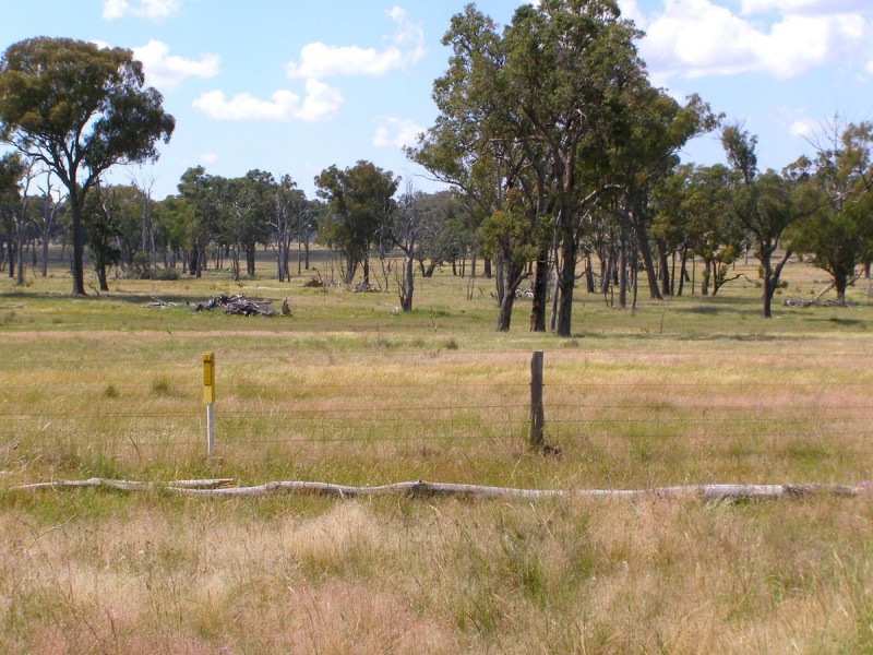 1015 Bundarra Road, Barraba NSW 2347