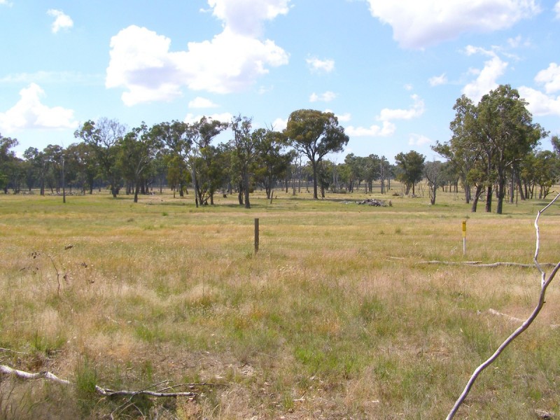 1015 Bundarra Road, Barraba NSW 2347