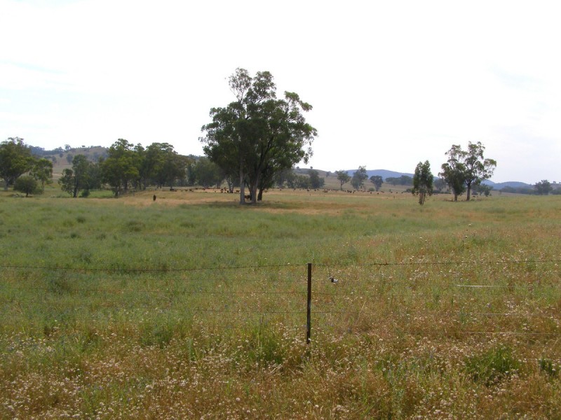 1015 Bundarra Road, Barraba NSW 2347