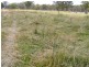 1015 Bundarra Road, Barraba NSW 2347