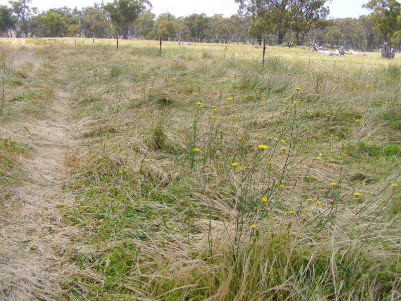 1015 Bundarra Road, Barraba NSW 2347