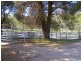 1015 Bundarra Road, Barraba NSW 2347