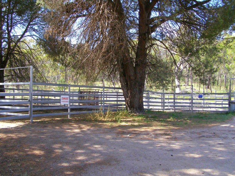 1015 Bundarra Road, Barraba NSW 2347