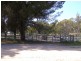 1015 Bundarra Road, Barraba NSW 2347