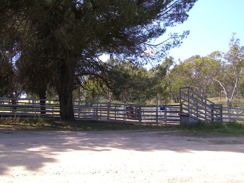 1015 Bundarra Road, Barraba NSW 2347