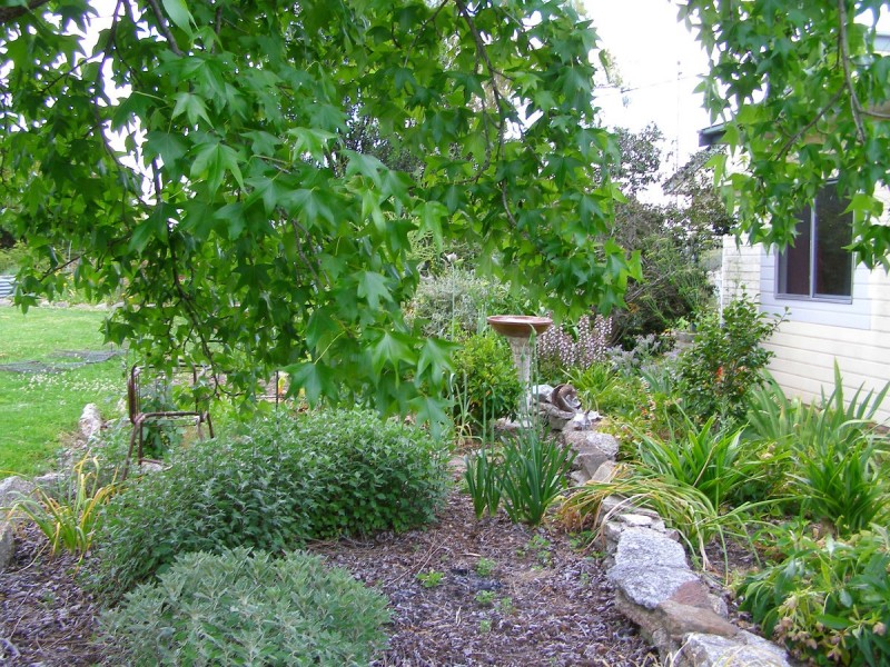 1015 Bundarra Road, Barraba NSW 2347