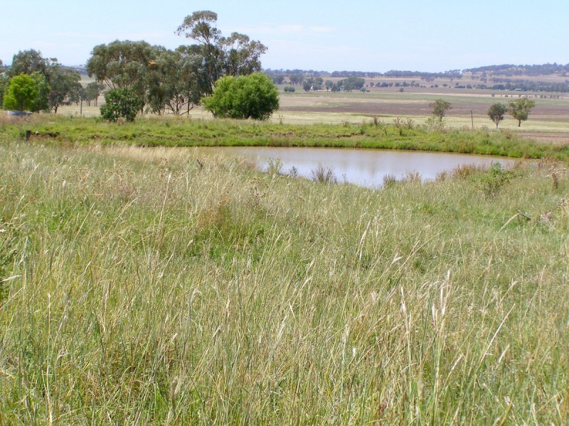 235 Waddells Lane, Inverell NSW 2360