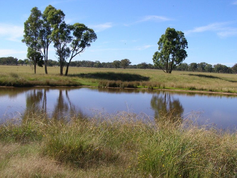 1109 Howell Road, Inverell NSW 2360