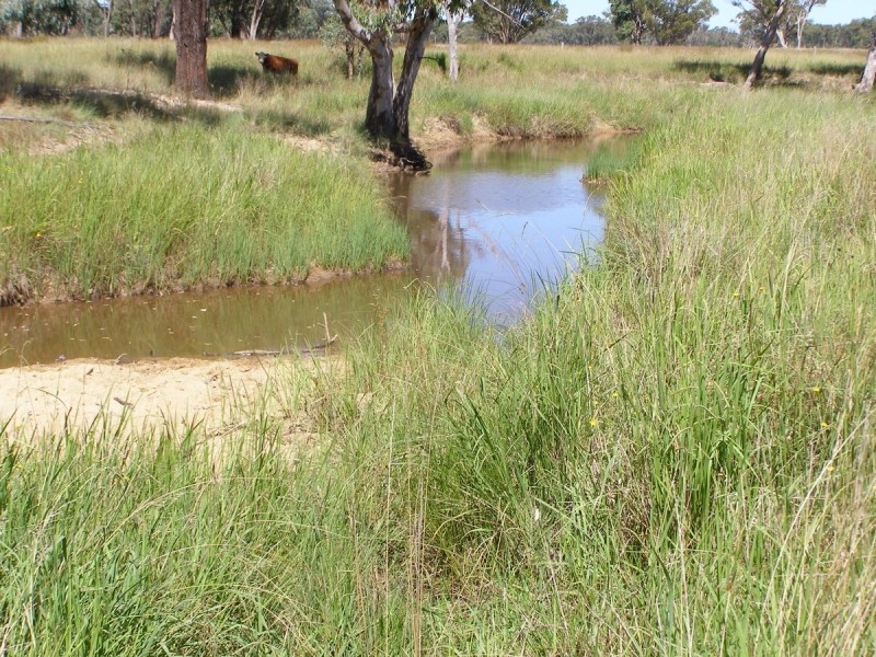 1109 Howell Road, Inverell NSW 2360