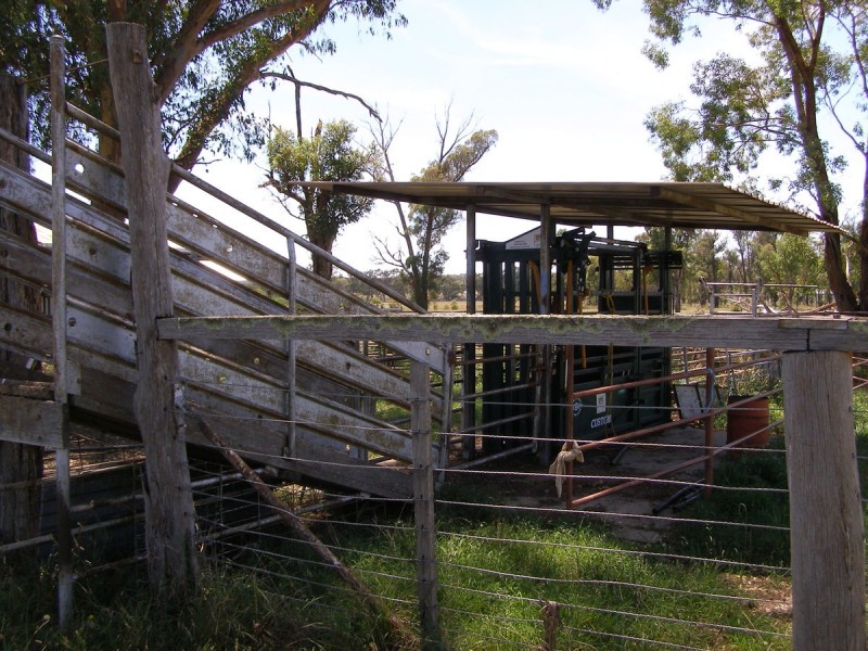 1109 Howell Road, Inverell NSW 2360