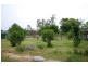 244 Howell Road, Tingha NSW 2369