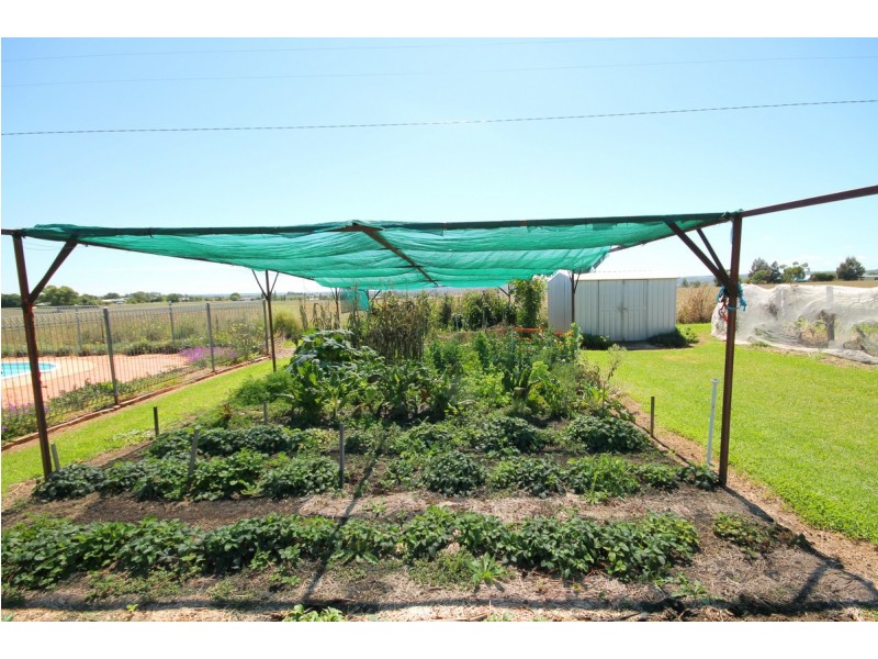 29 Toms Drive, Inverell NSW 2360