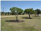 200 Borthwick Street, Inverell NSW 2360