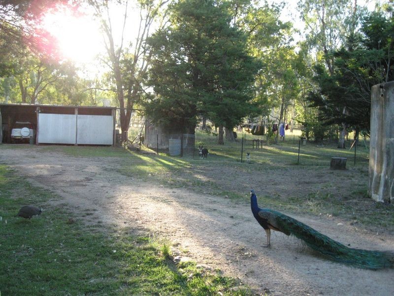 470 Grants Road, Inverell NSW 2360