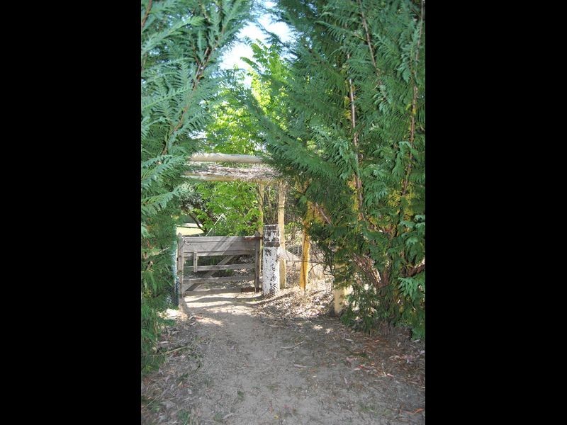 711 Wearnes Road, Bundarra NSW 2359