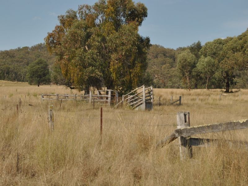 711 Wearnes Road, Bundarra NSW 2359