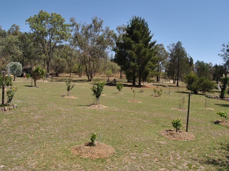 793 Limestone Road, Ashford NSW 2361