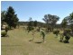 793 Limestone Road, Ashford NSW 2361