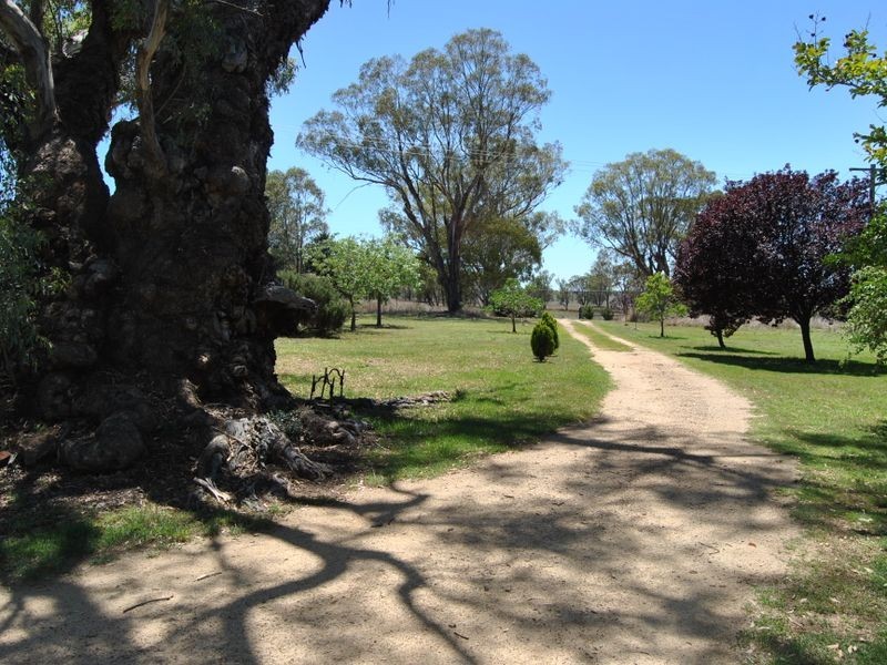 3103 Ashford Road, Inverell NSW 2360