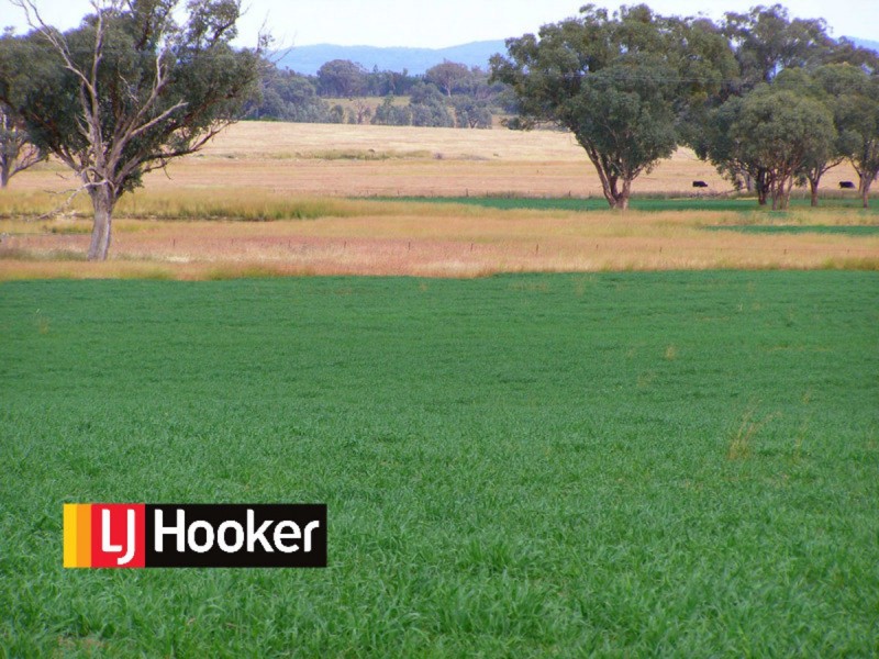 92 Petoria Park Road, Delungra NSW 2403