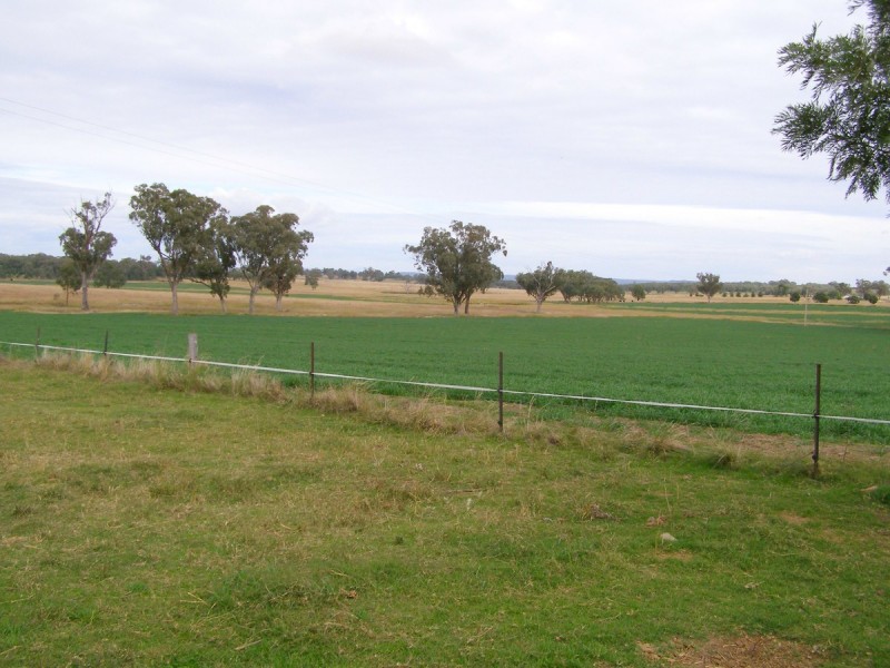 92 Petoria Park Road, Delungra NSW 2403