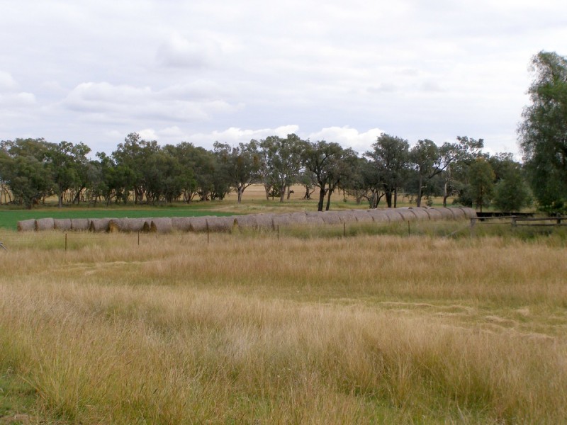 92 Petoria Park Road, Delungra NSW 2403