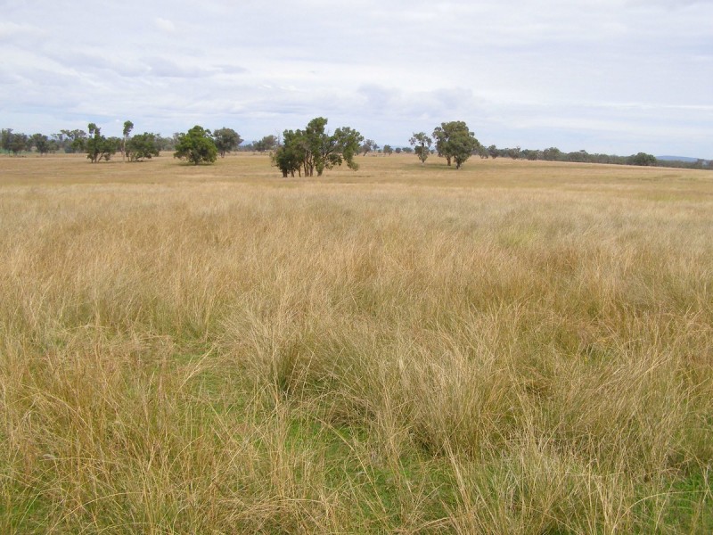 92 Petoria Park Road, Delungra NSW 2403