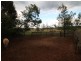 1001 Old Bundarra Road, Gilgai NSW 2360