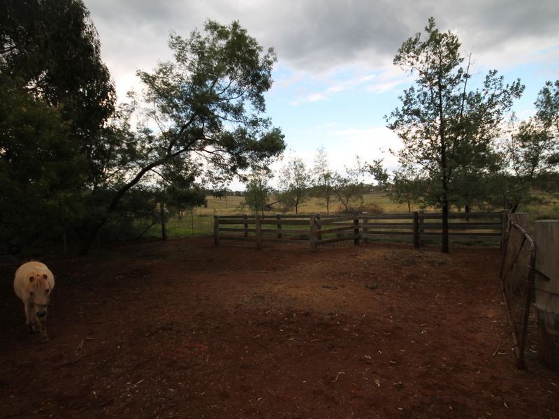 1001 Old Bundarra Road, Gilgai NSW 2360