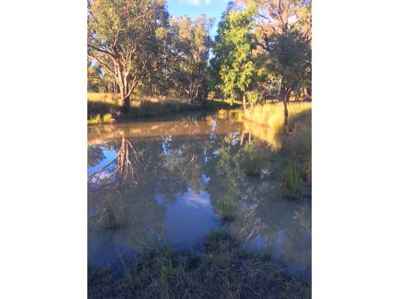 92 Petoria Park Road, Inverell NSW 2360