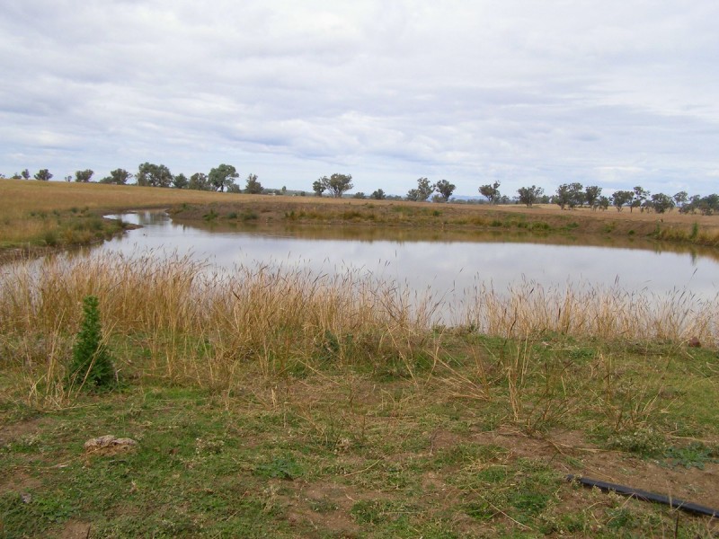 92 Petoria Park Road, Inverell NSW 2360