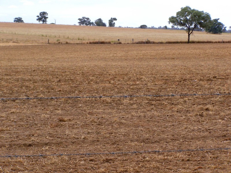 92 Petoria Park Road, Inverell NSW 2360