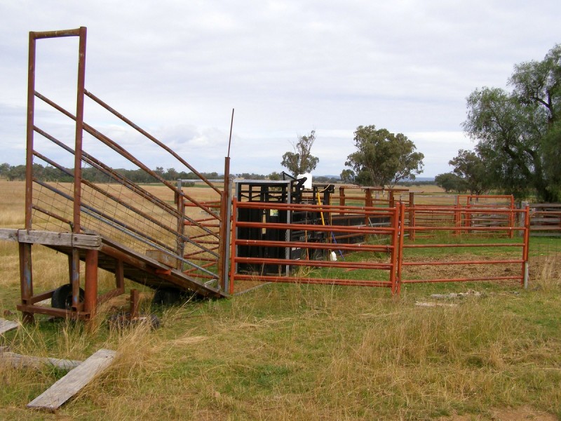 92 Petoria Park Road, Inverell NSW 2360