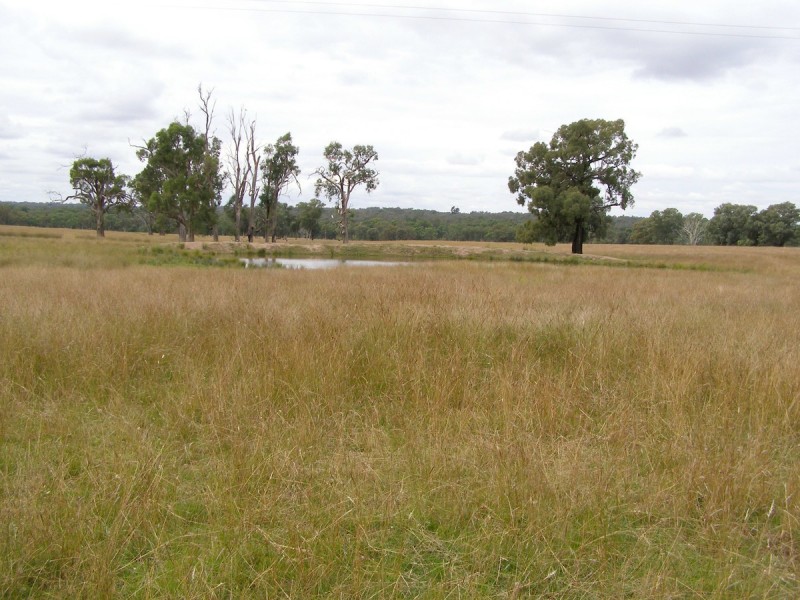 92 Petoria Park Road, Inverell NSW 2360