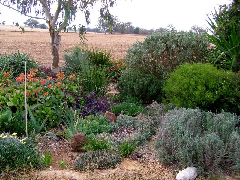 92 Petoria Park Road, Inverell NSW 2360