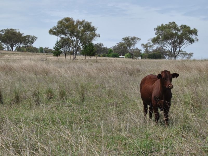 Lot 2 Hampton Court, Inverell NSW 2360