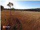 Lot 1 of Lot 12/ Gwydir Highway, Inverell NSW 2360