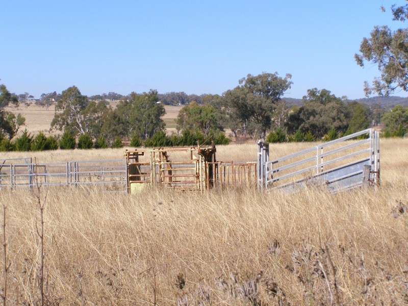 49 Coopers Lane, Inverell NSW 2360
