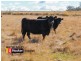 8263 Gwydir Highway, Inverell NSW 2360