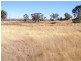 8263 Gwydir Highway, Inverell NSW 2360