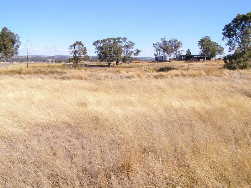 8263 Gwydir Highway, Inverell NSW 2360