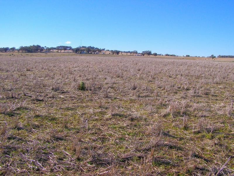 8263 Gwydir Highway, Inverell NSW 2360