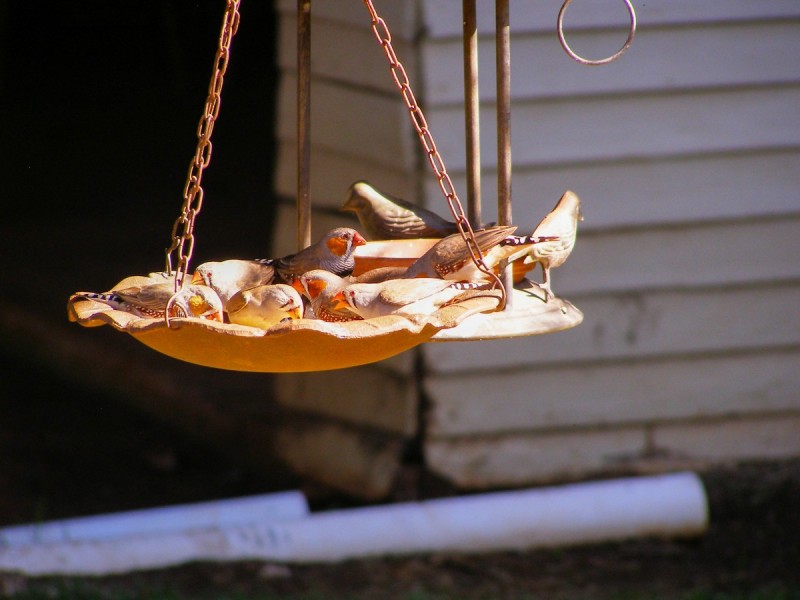 52 Roselea Road, Inverell NSW 2360