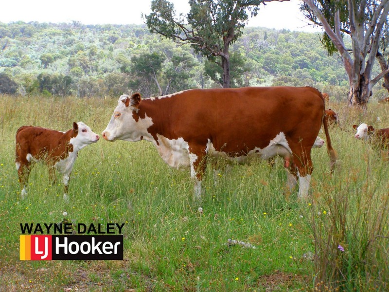 404 New Valley Road, Inverell NSW 2360