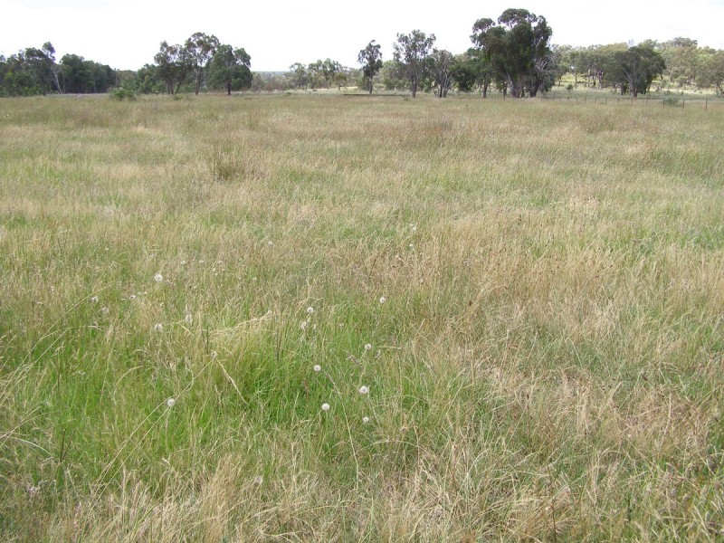 404 New Valley Road, Inverell NSW 2360