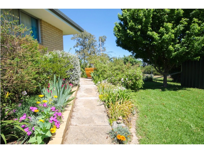 253 Ashford Road, Inverell NSW 2360