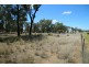 161 Warialda Road, Warialda NSW 2402