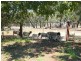 161 Warialda Road, Warialda NSW 2402