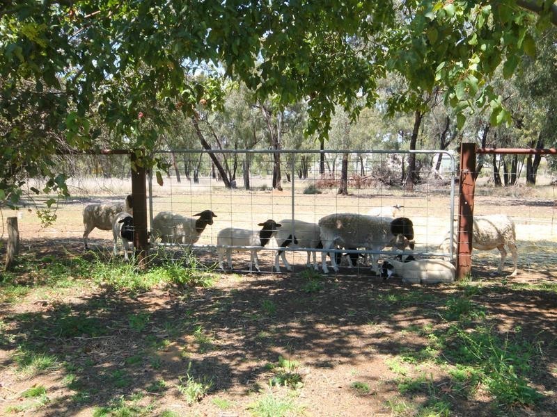 161 Warialda Road, Warialda NSW 2402